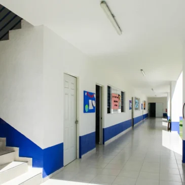 Primaria
